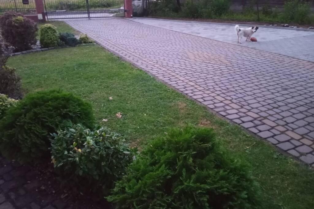 Studio Familly-Nocleg-Zator- Wadowice-Oswiecim-Krakow Bachowice ภายนอก รูปภาพ